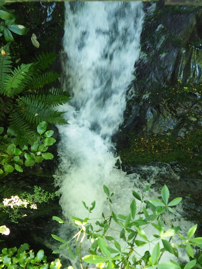 Waterfall Track