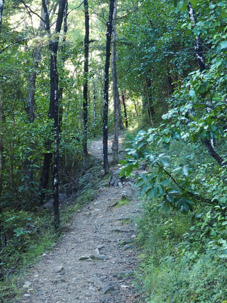 Waterfall Track