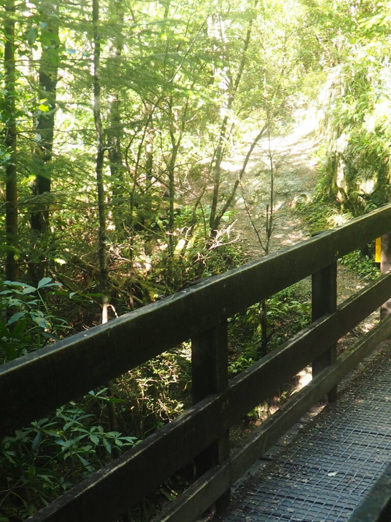 Waterfall Track