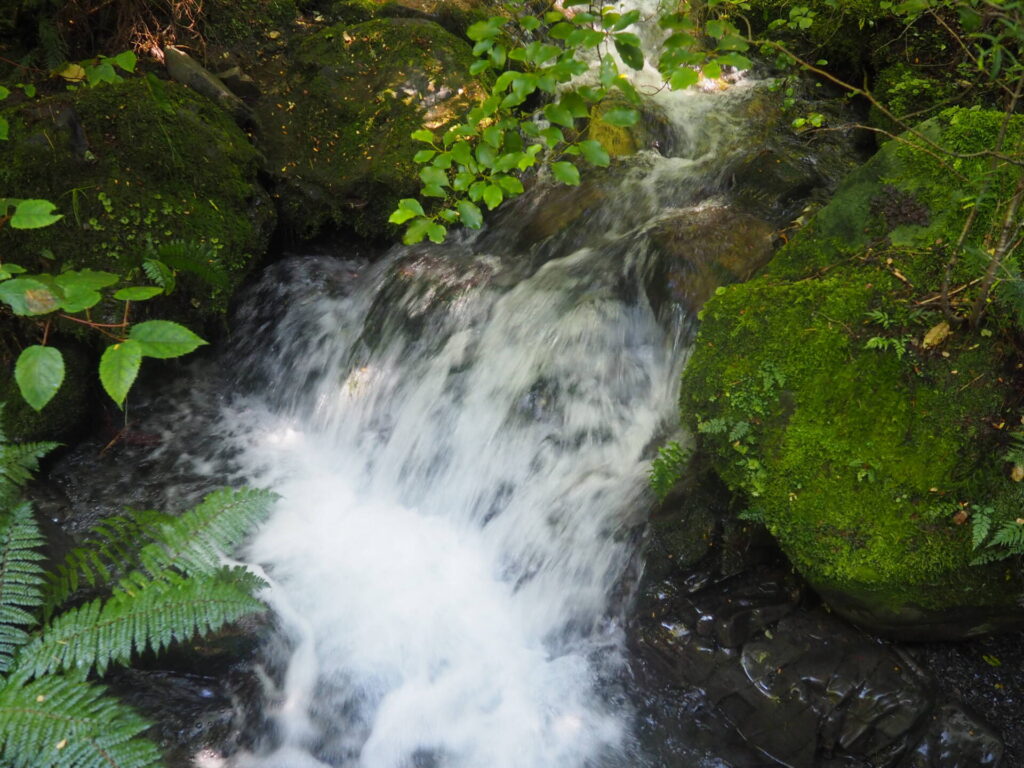 Waterfall Track