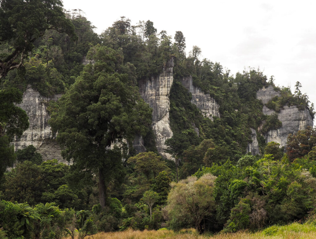 Nile Rainforest Train Ride