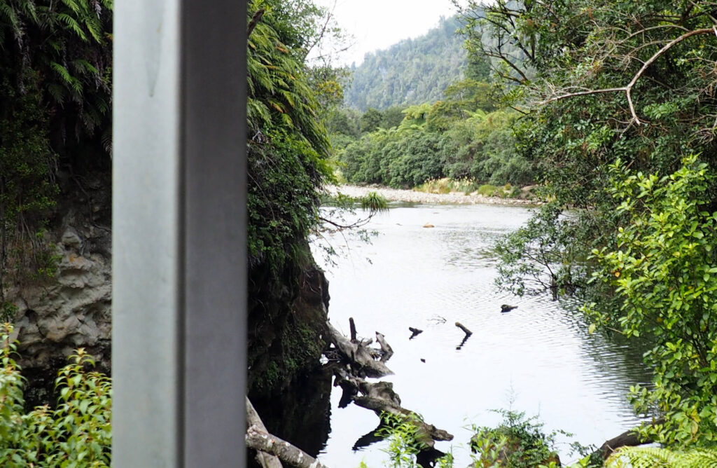 Nile Rainforest Train Ride