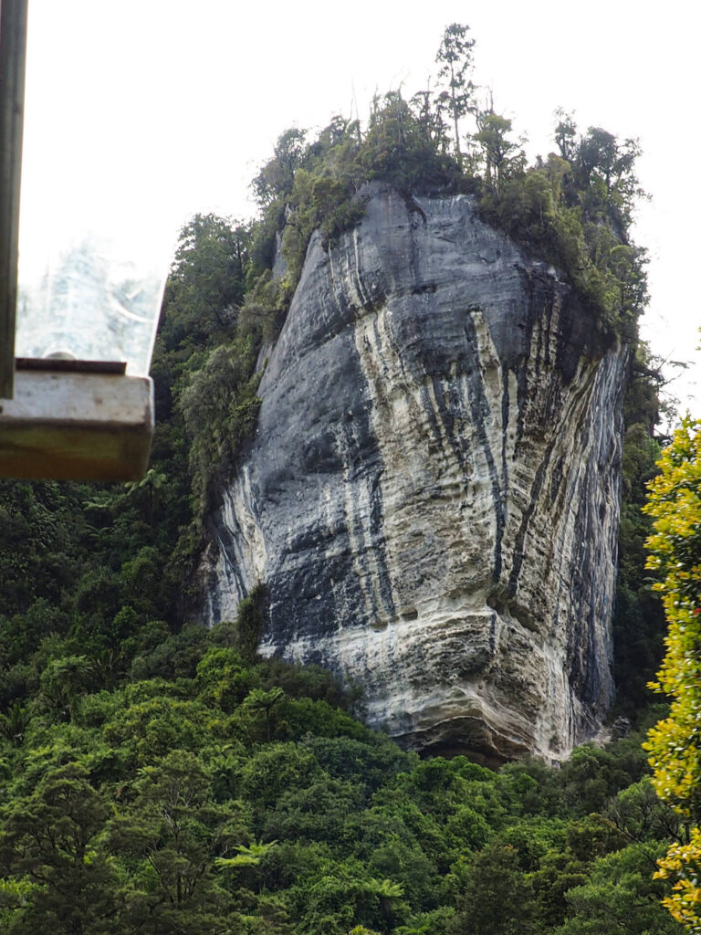 Nile Rainforest Train Ride