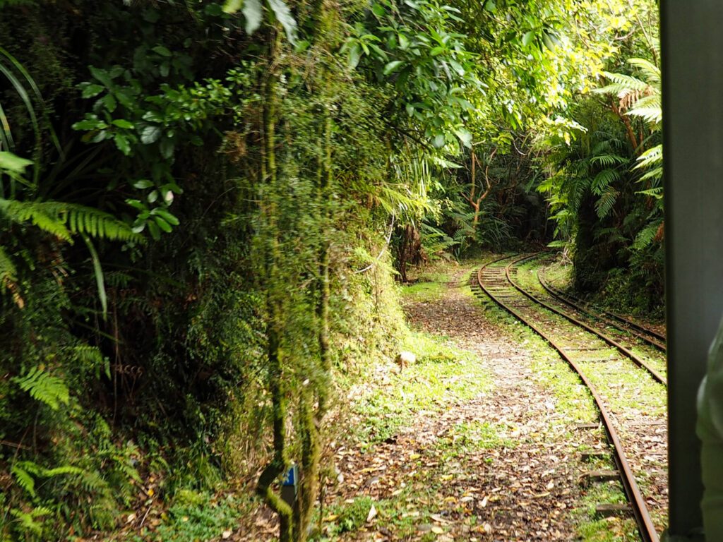 Nile Rainforest Train Ride
