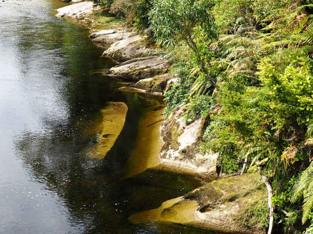 Nile Rainforest Train Ride