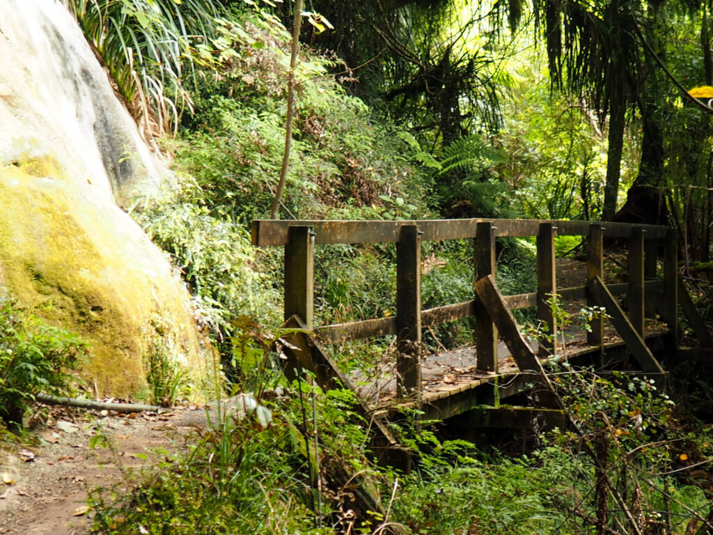 Nile Rainforest Train Ride